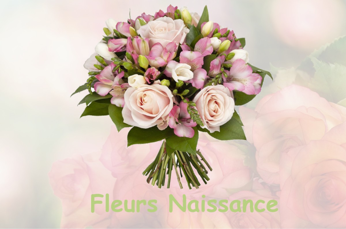 fleurs naissance JOUQUES