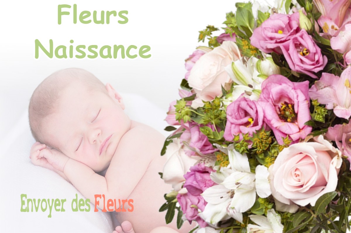 lIVRAISON FLEURS NAISSANCE à JOUQUES